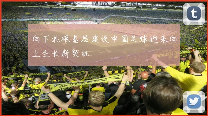 向下扎根基层建设中国足球迎来向上生长新契机