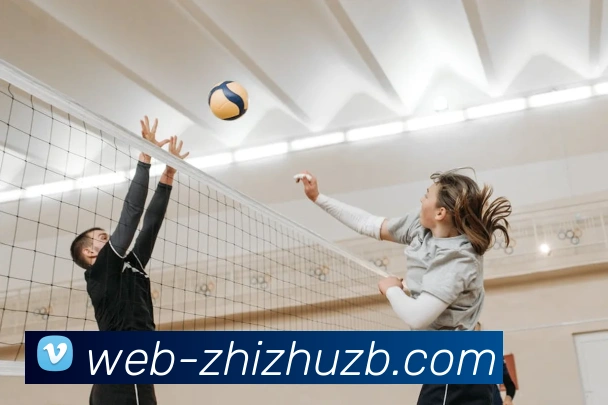 蜘蛛直播:全球职业竞技赛事资讯与实时数据交互门户平台生态图