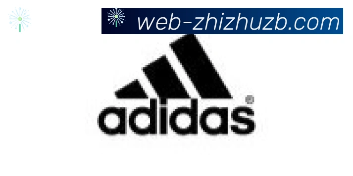 蜘蛛直播合作伙伴